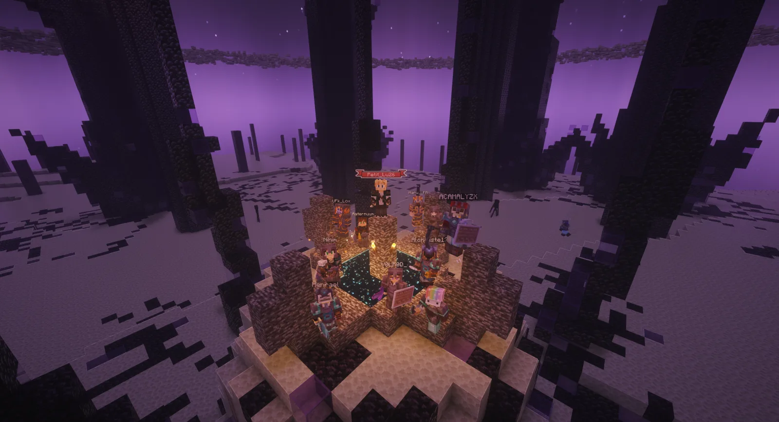 Le Dragon de l'Ender en plein combat