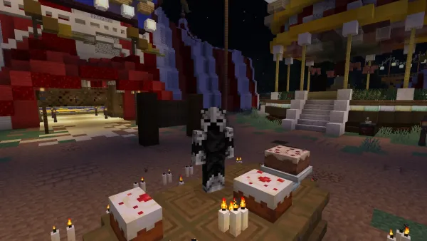 Concours de Skin
